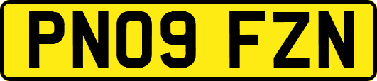 PN09FZN
