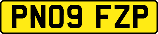 PN09FZP
