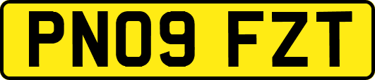 PN09FZT