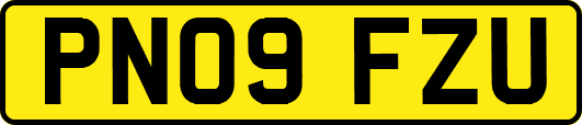 PN09FZU