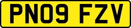 PN09FZV
