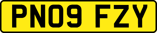 PN09FZY