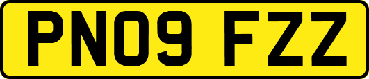 PN09FZZ