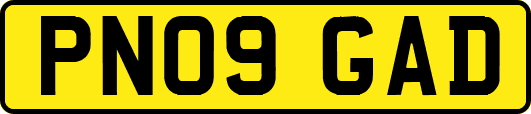 PN09GAD
