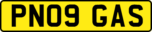 PN09GAS