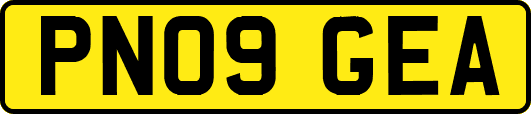 PN09GEA