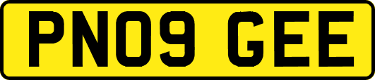 PN09GEE
