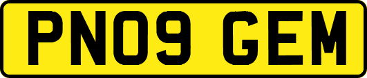 PN09GEM