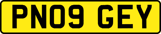 PN09GEY