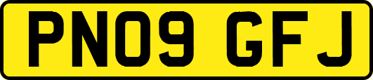 PN09GFJ