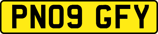 PN09GFY