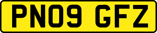 PN09GFZ