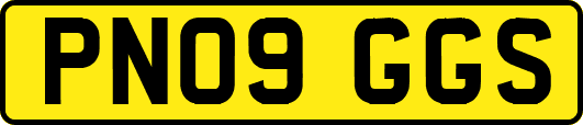 PN09GGS