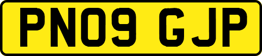 PN09GJP