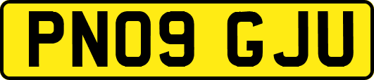 PN09GJU