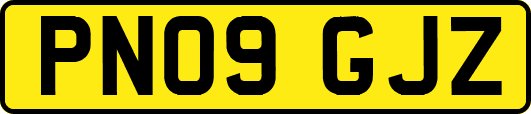 PN09GJZ