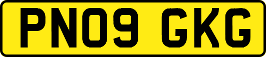 PN09GKG