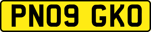 PN09GKO