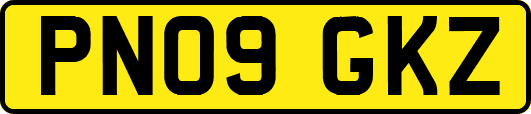 PN09GKZ