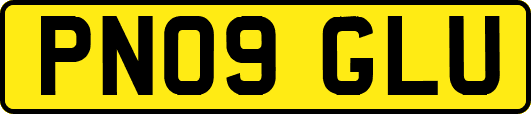 PN09GLU