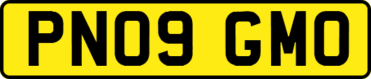PN09GMO