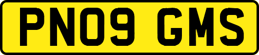 PN09GMS