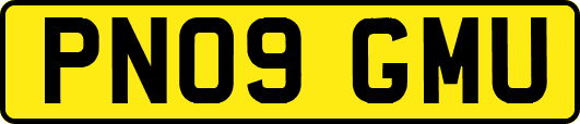 PN09GMU