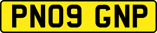 PN09GNP