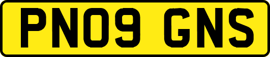 PN09GNS