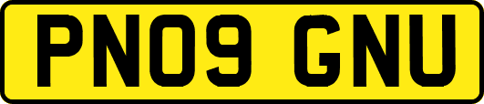 PN09GNU