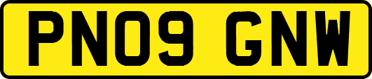 PN09GNW