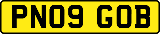 PN09GOB