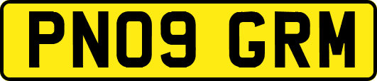 PN09GRM