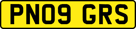 PN09GRS