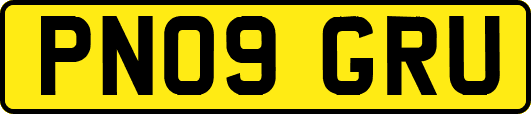 PN09GRU