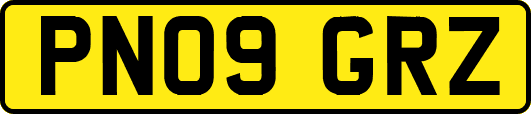 PN09GRZ
