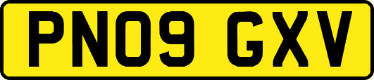 PN09GXV