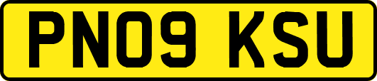 PN09KSU