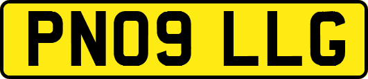 PN09LLG
