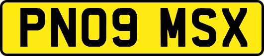 PN09MSX