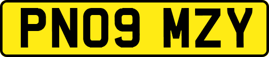 PN09MZY