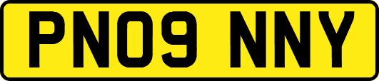 PN09NNY