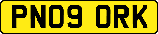 PN09ORK