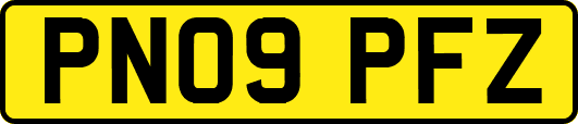 PN09PFZ