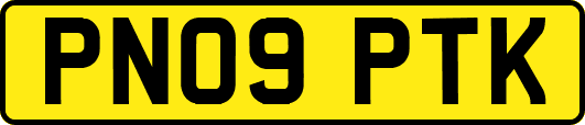 PN09PTK