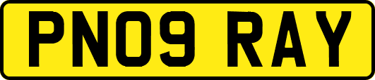 PN09RAY