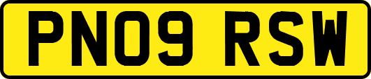 PN09RSW