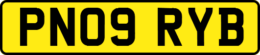 PN09RYB