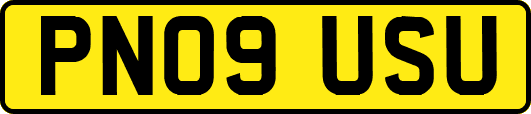 PN09USU