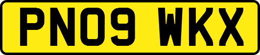 PN09WKX